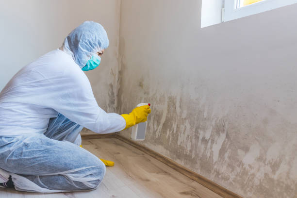 Licensed Mold Remediation service in Orlando, FL - WQB Mold Removal
