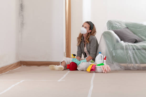 Reliable Mold Remediation contractor in Orlando, FL by WQB Mold Removal
